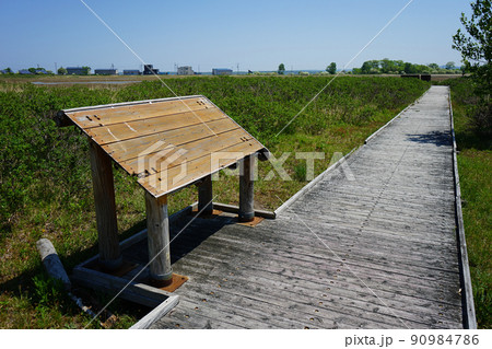北海道　キムアネップ岬 90984786