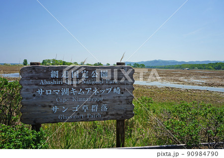 北海道 キムアネップ岬 北海道 キムアネップ岬 90984790