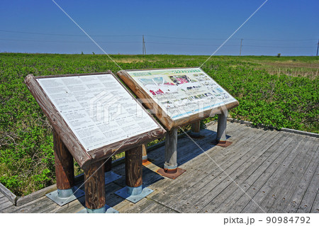 北海道 キムアネップ岬 北海道 キムアネップ岬 90984792