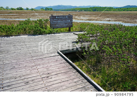 北海道　キムアネップ岬 90984795