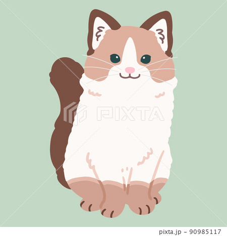 正面を向いてお座りするシンプルで可愛いラグドールのイラスト　主線なし 90985117
