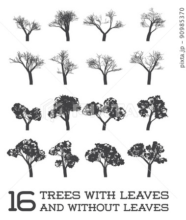 Set of Vector Trees in Silhouettes, Black and White, With and Without Leaves 90985370