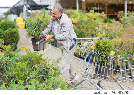 Caucasian man choosing sprouts in garden center Caucasian man choosing sprouts in garden center 90985706