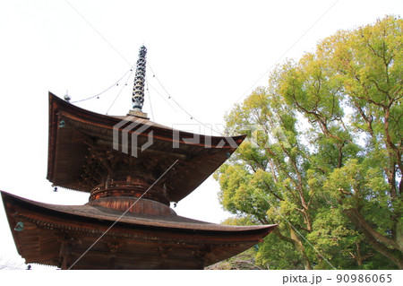 春日井市、密蔵院多宝塔の風景 90986065