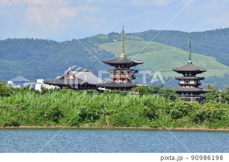 勝間田池の夏風景 90986198