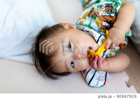歯固めを嚙む7ヵ月の乳児　あかちゃん 90987929