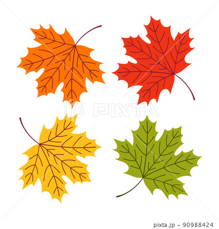 A maple leaf in red, yellow, orange, and green colors. A maple leaf in red, yellow, orange, and green colors. 90988424