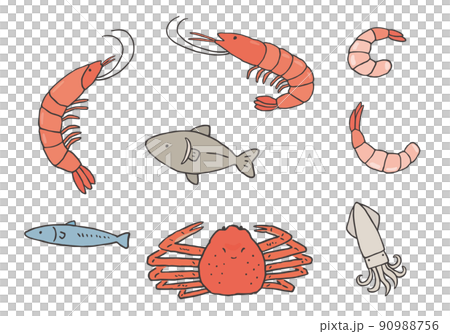 エビ・カニ・魚・イカの手描きイラストセット（カラー） 90988756