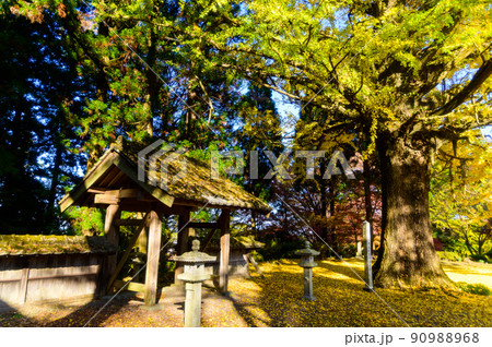 阿蘇山西巌殿寺「秋晴れ光芒・境内の紅葉景色・大イチョウ紅葉」(観光地)阿蘇市黒川 90988968