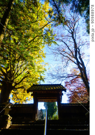 阿蘇山西巌殿寺「秋晴れ空・境内の紅葉景色・大イチョウ紅葉」(観光地)阿蘇市黒川 90988978