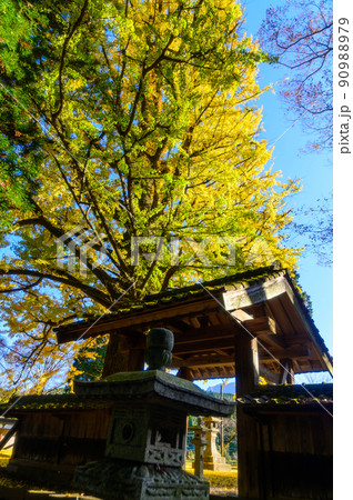 阿蘇山西巌殿寺「秋晴れ空・境内の紅葉景色・大イチョウ紅葉」(観光地)阿蘇市黒川 90988979