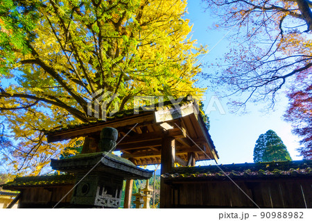 阿蘇山西巌殿寺「秋晴れ光芒・境内の紅葉景色・大イチョウ紅葉」(観光地)阿蘇市黒川 90988982