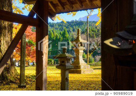阿蘇山西巌殿寺「秋晴れ・境内の紅葉景色・大イチョウ紅葉」(観光地)阿蘇市黒川 90989019