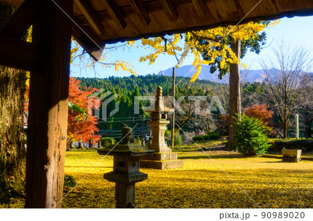 阿蘇山西巌殿寺「秋晴れ・境内の紅葉景色・大イチョウ紅葉」(観光地)阿蘇市黒川 阿蘇山西巌殿寺「秋晴れ・境内の紅葉景色・大イチョウ紅葉」(観光地)阿蘇市黒川 90989020