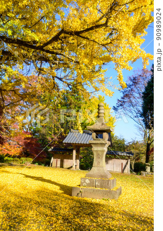 阿蘇山西巌殿寺「秋晴れ・境内の紅葉景色・大イチョウ紅葉」(観光地)阿蘇市黒川 阿蘇山西巌殿寺「秋晴れ・境内の紅葉景色・大イチョウ紅葉」(観光地)阿蘇市黒川 90989024