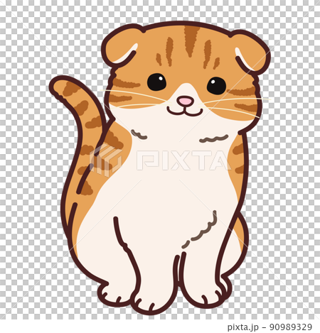 Illustration of a simple and cute Scottish fold that sits facing the front with a main line 90989329