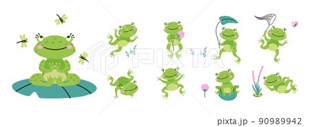 Cute green frogs. Croaking frog on nature, cartoon toad with lotus and leaves. Kids tropical amphibian, isolated jumping relaxing quirky nowaday vector animal 90989942