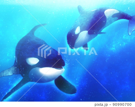 シャチのイラスト素材 [90990700] - PIXTA