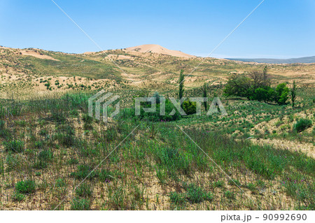 semi-desert spring landscape in the vicinity of the Sarykum sand dune 90992690