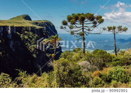 Espraiado Canyon with rocks, trees and sunlight in Santa Catarina, Brazil. Espraiado Canyon with rocks, trees and sunlight in Santa Catarina, Brazil. 90992901