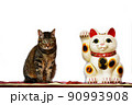 猫と招き猫。キジトラ。猫イメージ素材。白背景 90993908