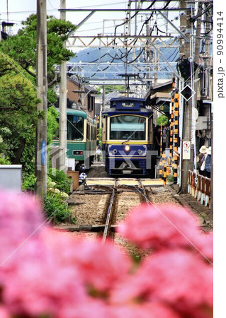 紫陽花の頃…古都『鎌倉』から江ノ島へ【江ノ電】 紫陽花の頃…古都『鎌倉』から江ノ島へ【江ノ電】 90994414