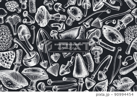 Forest mushrooms seamless pattern background design. Engraved style. Hand drawn mushrooms, fly agaric, blewit, etc. 90994454