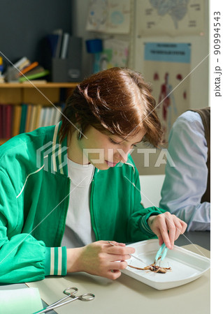 Teenage schoolgirl using steel surgical instruments while dissecting frog Teenage schoolgirl using steel surgical instruments while dissecting frog 90994543