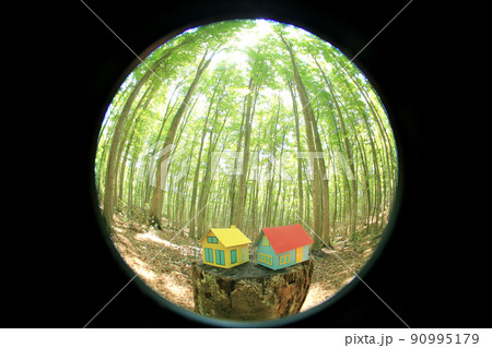 林の中のミニチュアハウス 林の中のミニチュアハウス 90995179