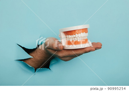 Male hand holds a plastic human jaw with white even teeth on a blue background Male hand holds a plastic human jaw with white even teeth on a blue background 90995254