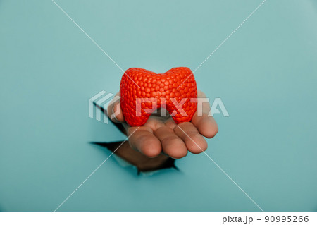 Male hand showing a thyroid out of a hole torn in blue paper wall. Health care, pharmaceutics and medicine advertisement 90995266
