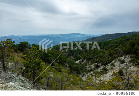 Forest-covered green hills on a bright Sunny summer day in the mountains of Central Cyprus. 90996180