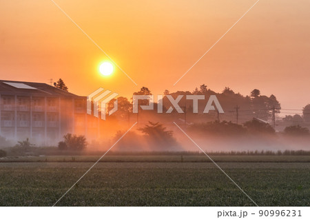 茨城県水戸市　初夏の朝靄の田園風景 90996231