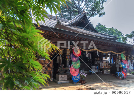 茨城県下妻市　あじさい咲き誇る初夏の大宝八幡宮 90996617