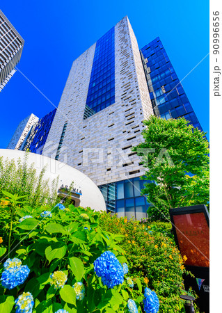 東京　新宿6丁目の都市風景　新宿イーストサイドスクエア 90996656