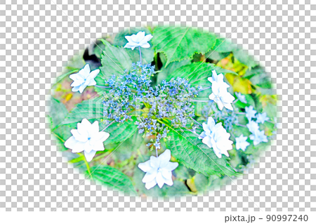 開花的“繡球花”水彩風格圖片字母 開花的“繡球花”水彩風格圖片字母 90997240
