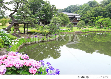 肥後細川庭園 東京都文京区 肥後細川庭園 東京都文京区 90997589