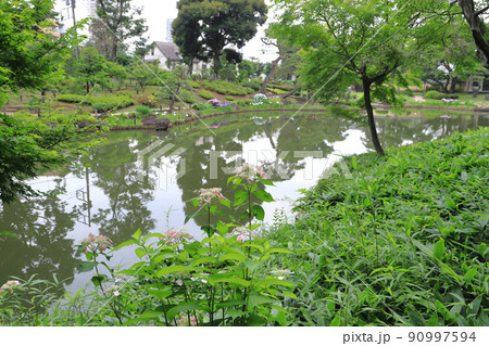 肥後細川庭園　東京都文京区 90997594
