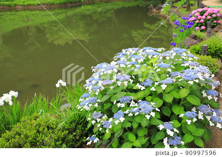 肥後細川庭園　東京都文京区 90997596