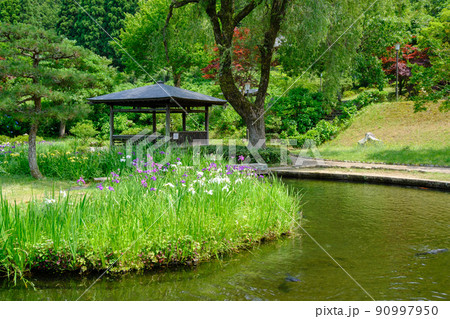 若狭　瓜割名水公園 90997950