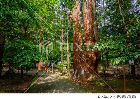 若狭小浜　若狭彦神社（若狭一宮上社） 90997988