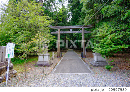 若狭小浜　若狭彦神社（若狭一宮上社） 90997989