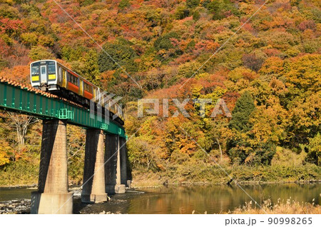 紅葉の久慈川を渡る水郡線 90998265