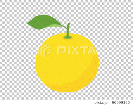 柚子や夏ミカンをイメージしたイラスト 90999390