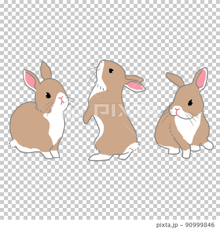茶色うさぎ三点セット 90999846