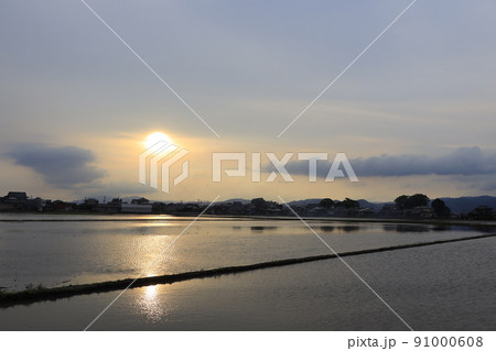 佐賀県三養基郡みやき町　田植えの時期 91000608