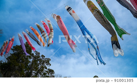 鯉のぼり 91001305