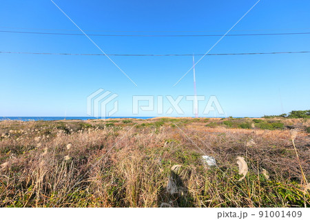 済州島 ビーチ 海水浴場 91001409