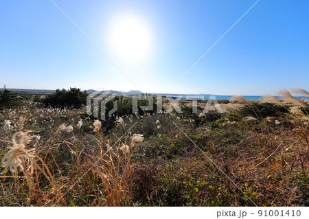 済州島 ビーチ 海水浴場 91001410