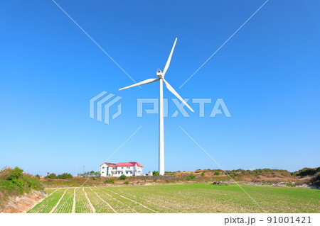 済州島 ビーチ 海水浴場 91001421